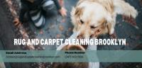 Rug and Carpet Cleaning Brooklyn image 2